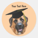 Search for funny graduation stickers Cute
