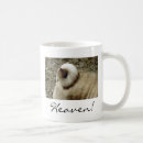 Search for pug in heaven Dog