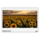 Search for flower wall decals Bloom