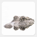 Search for crocs gift wrap Reptile