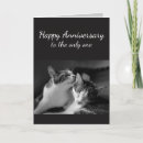 Search for hilarious anniversary cards Cute