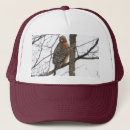 Search for bird baseball hats Hawk