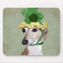 Search for greyhound Flower leaves