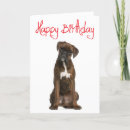 Search for boxer dog birthday cards Puppy