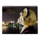 Search for cheetah calendars Feline