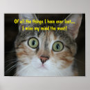 Search for missing cat posters Pet