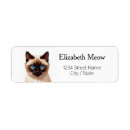 Search for cat return address labels Animals