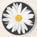 Search for daisy coasters Yellow