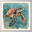 Search for sea turtle posters Florida
