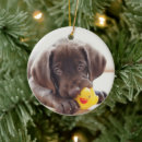 Search for rubber duck ornaments Animal