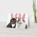 Search for funny easter postcards Kitty