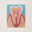 Search for dental puzzles Tooth