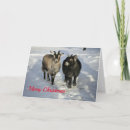Search for goat christmas cards Cute