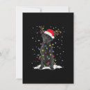 Search for dog christmas invitations Reindeer