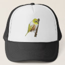 Search for new zealand hats Bird