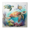 Search for turtle tiles Coral