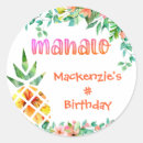 Search for mahalo stickers Pineapple