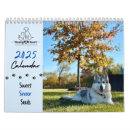 Search for rescue calendars Cat
