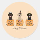 Search for cute halloween dog stickers Pumpkin