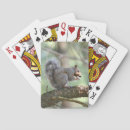 Search for squirrel playing cards Rodent