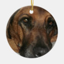 Search for rhodesian ridgeback ornaments Cute