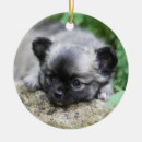 Search for long haired chihuahua ornaments Headshot