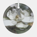 Search for magnolia ornaments Nature