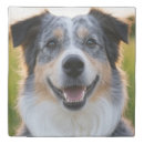 Search for photo duvet covers Dog