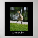 Search for demotivational posters Humour