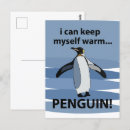 Search for antarctica postcards Cute animals