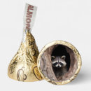 Search for woodland favors Raccoon