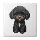 Search for cockapoo gifts Puppy