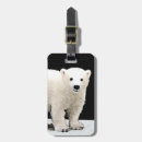 Search for snow white luggage tags Bear