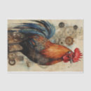 Search for chicken tissue paper Rooster