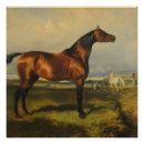 Search for vintage horse posters Landscape