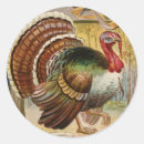 Search for wild turkey stickers Colorful