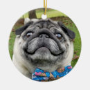Search for pug ornaments pet