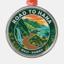 Search for hawaii ornaments Souvenir