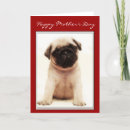 Search for pug mothers day cards Pet
