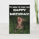 Search for german shorthaired pointer dog cards Gsp