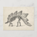 Search for dinosaur postcards Animals