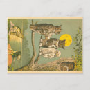 Search for owl postcards Antique