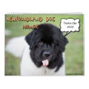 Search for humor calendars dog