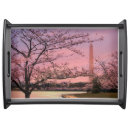 Search for cherry blossom serving trays Washington monument