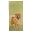 Search for chow chow gifts Dog