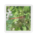 Search for dragonflies bathroom accessories Beautiful