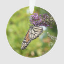 Search for monarch butterfly ornaments Flower