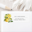 Search for lemon return address labels Modern