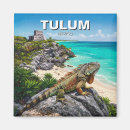 Search for tulum magnets Travel