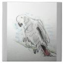 Search for parrot tiles Pets